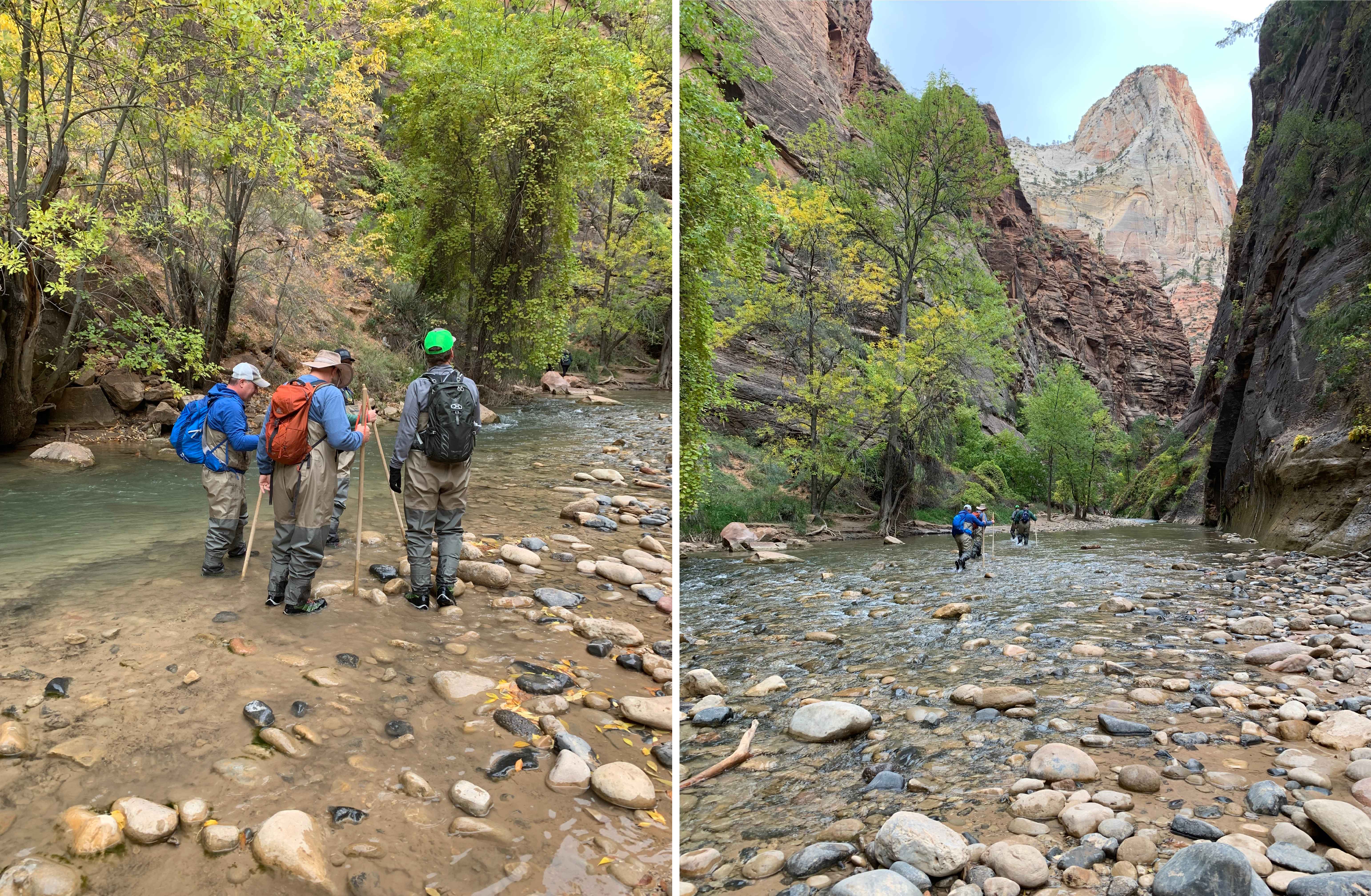 Zion NP
